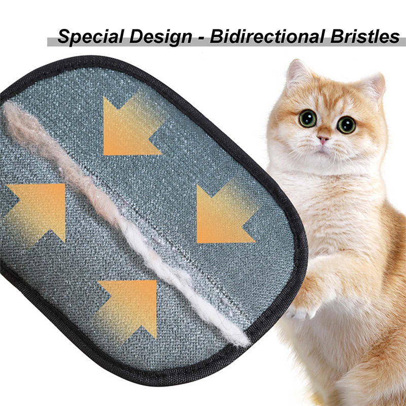 New Electrostatic Pet Hair Rem - đánh giá và giá Pet Supplies Grooming