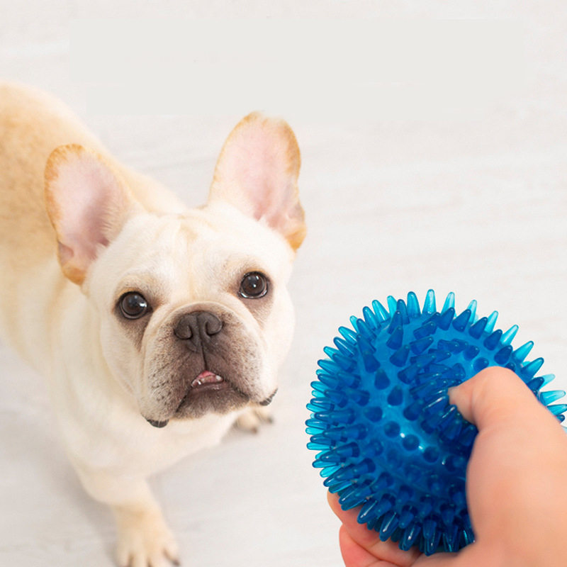 High Elasticity French Bulldog - đánh giá và giá Pet Supplies In Bulk