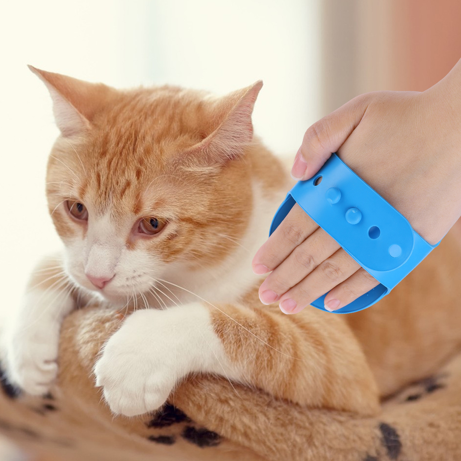 6PCS Pet Grooming Kit Silicone - đánh giá và giá Pet Supplies Grooming