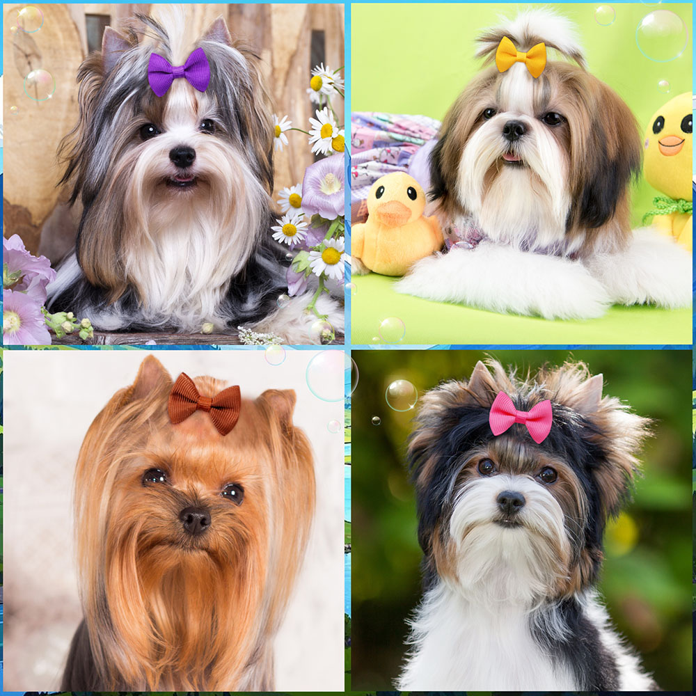 50PCS Puppy Bows With Rubber B - đánh giá và giá Pet Supplies In Bulk