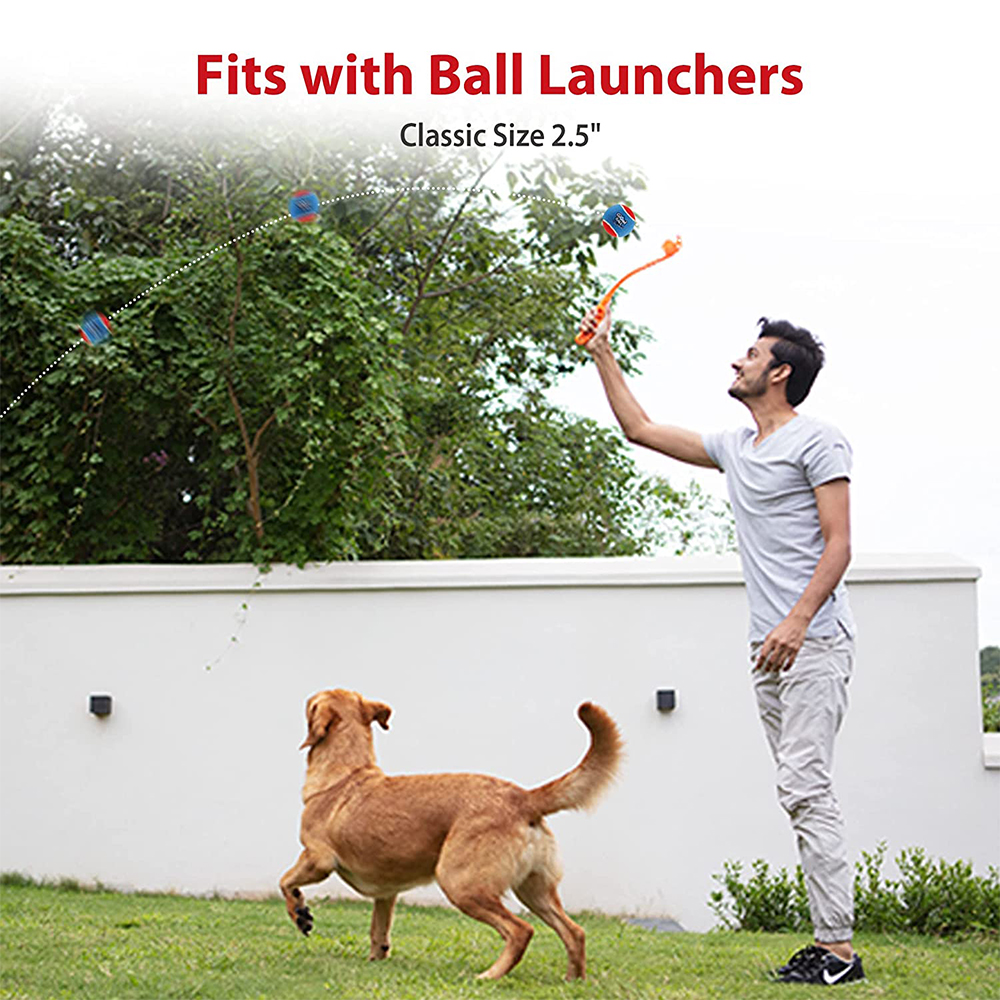 Pet Dog Squeaky Tennis Ball In - đánh giá và giá Pet Supplies In Bulk