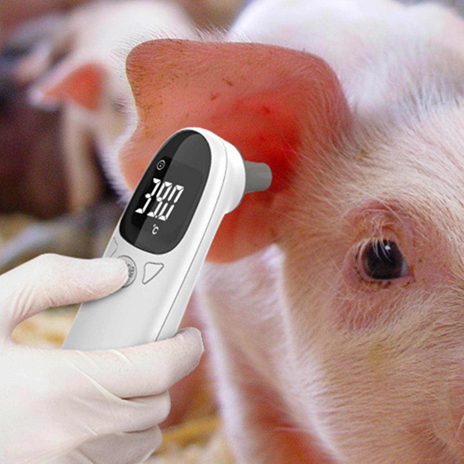 Dog Cat Ear Thermometer Medica - đánh giá và giá Pet Supplies In Bulk