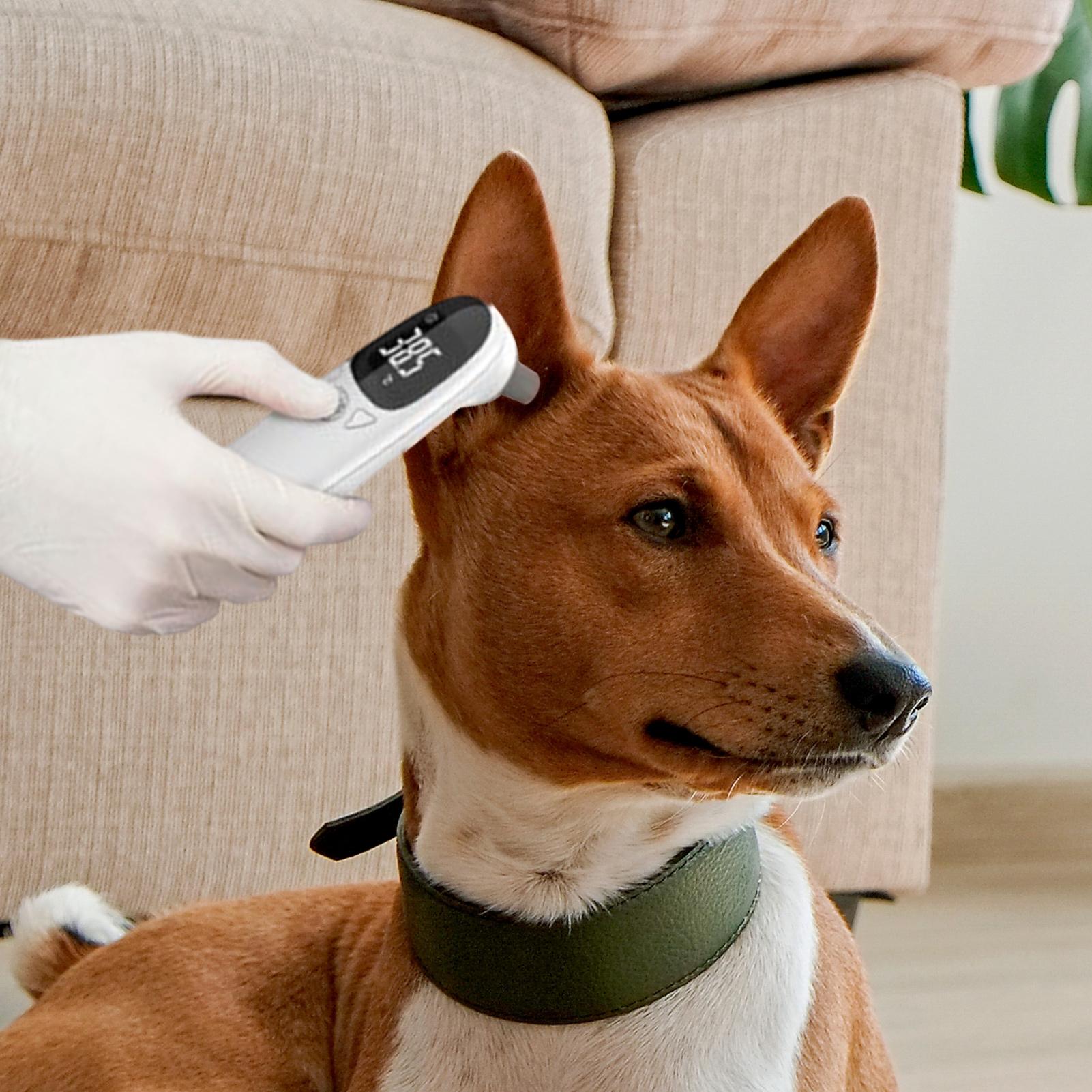 Dog Cat Ear Thermometer Medica - đánh giá và giá Pet Supplies In Bulk