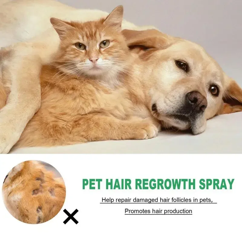 YEGBONG 30ml Cat Detangler Spr - đánh giá và giá Pet Supplies Grooming