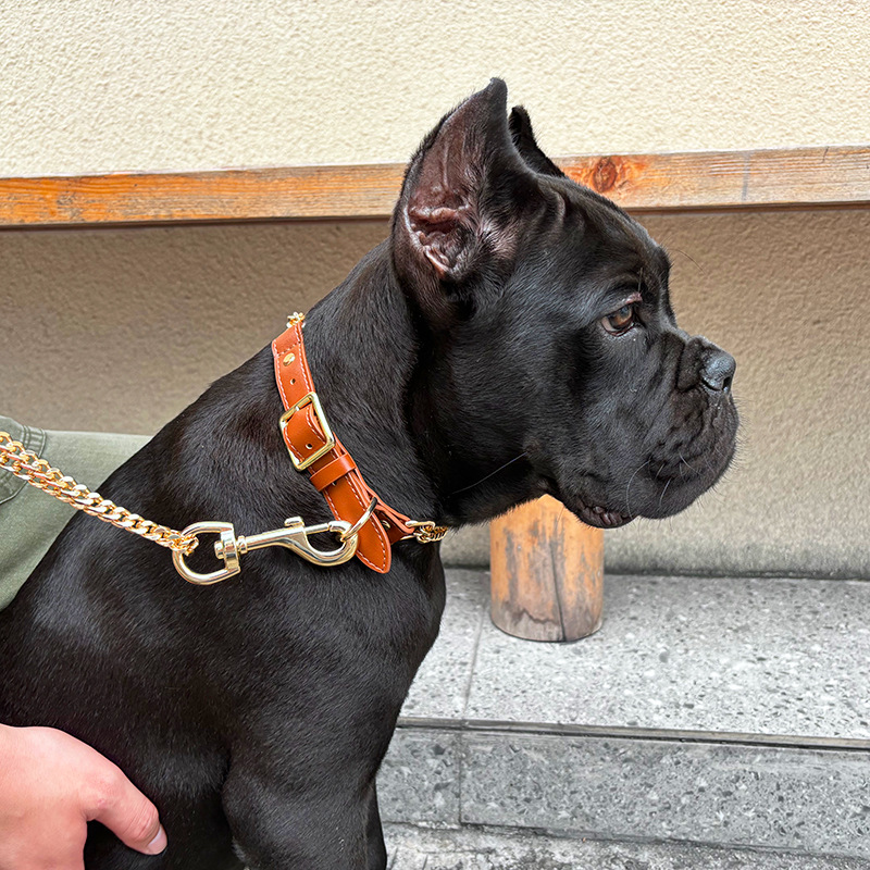 Loudik Wholesale Pet Collar Le - đánh giá và giá Pet Supplies In Bulk