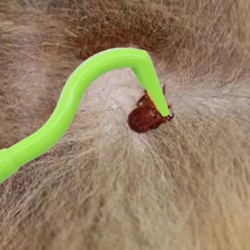 3PCS Safe Pet Tick Remover Too - đánh giá và giá Pet Supplies Grooming