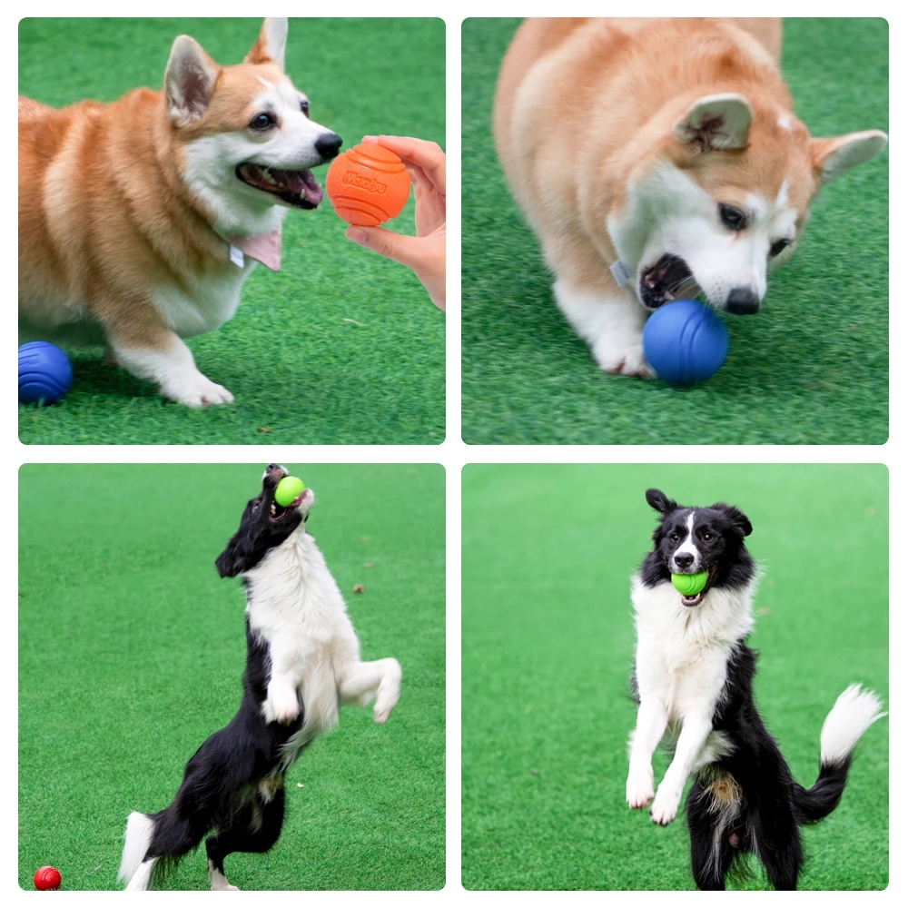Pet Dog Toys Dog Ball Dog Boun - đánh giá và giá Pet Supplies In Bulk