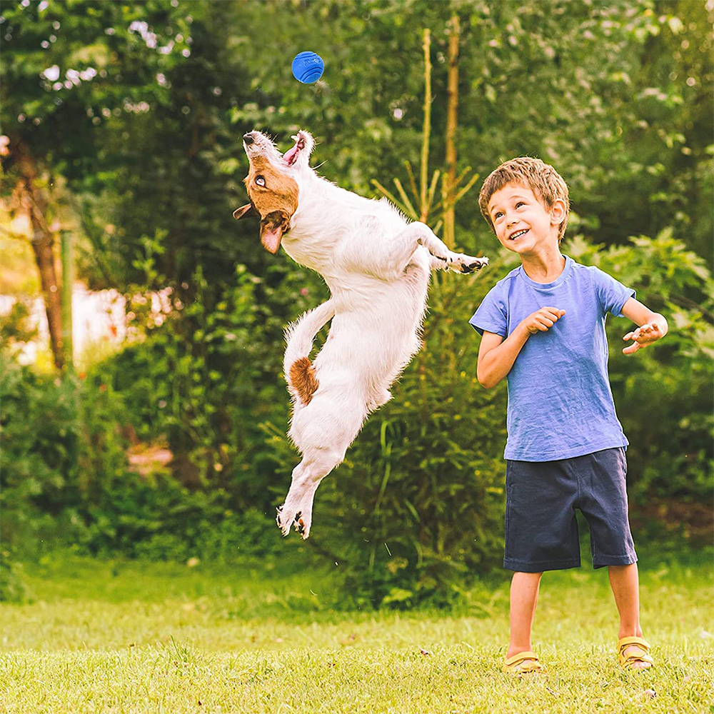 Pet Dog Toys Dog Ball Dog Boun - đánh giá và giá Pet Supplies In Bulk
