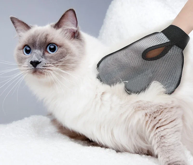 Cat Hair Glove Pet Grooming Gl - đánh giá và giá Pet Supplies Grooming